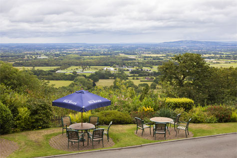 The Cottage in the Wood View