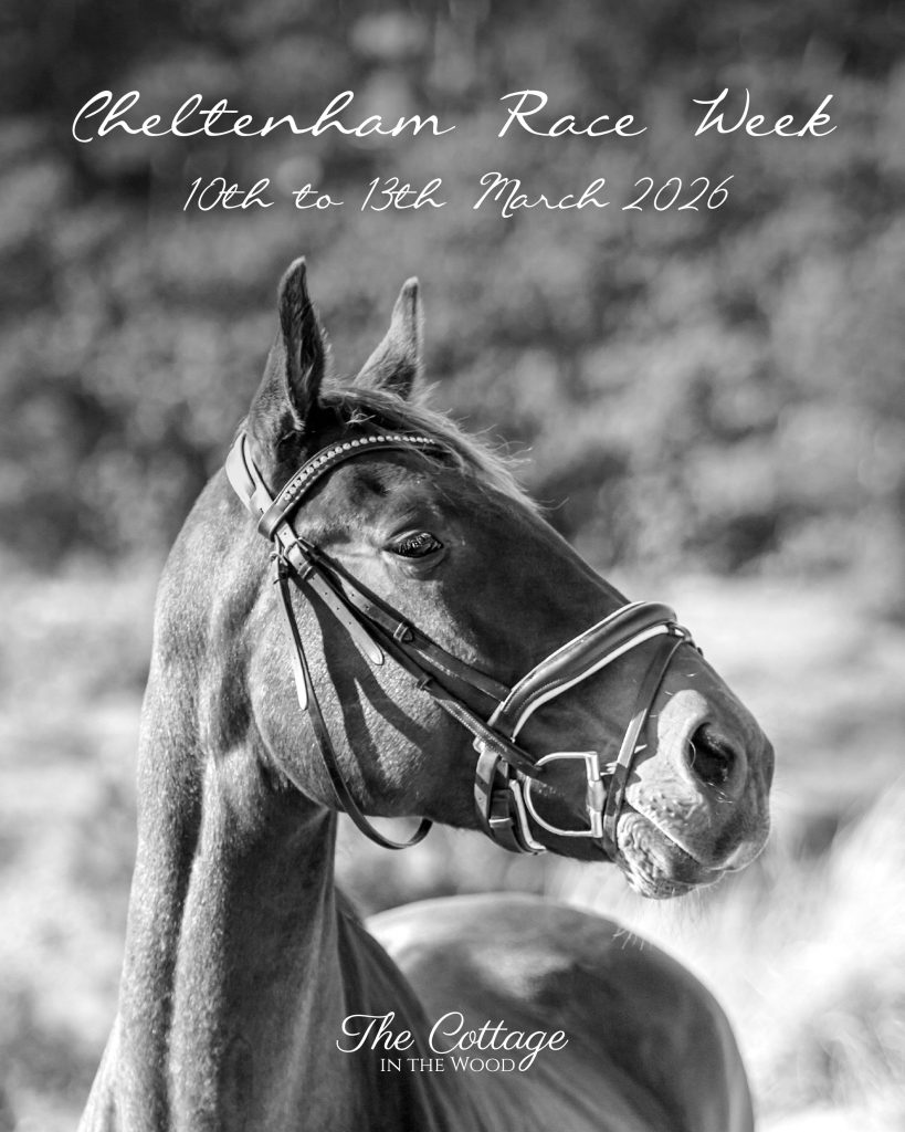 Cheltenham Race Week