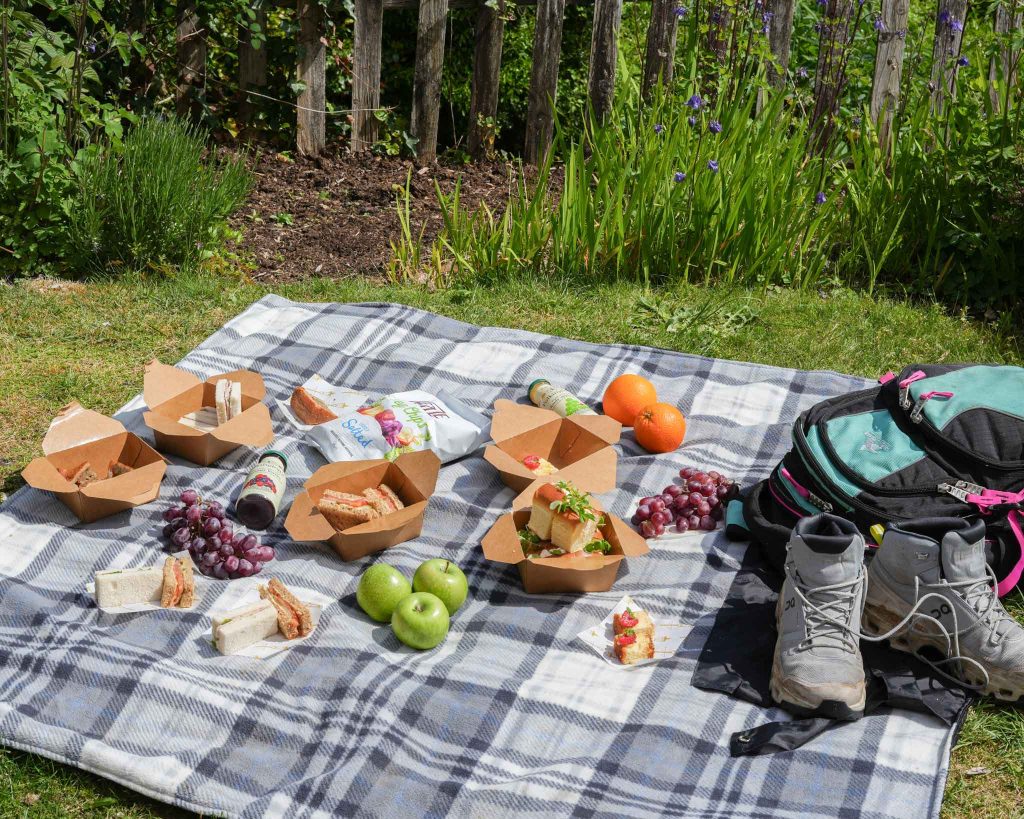 Picnic Packs